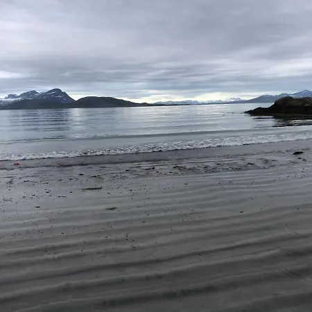 Lofoten Gate لودينغن